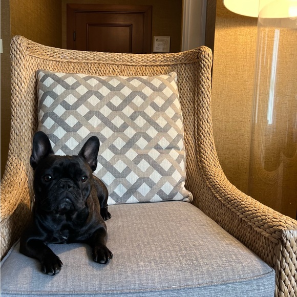 Meet your Posher, Brieann - Picture 5 of 6